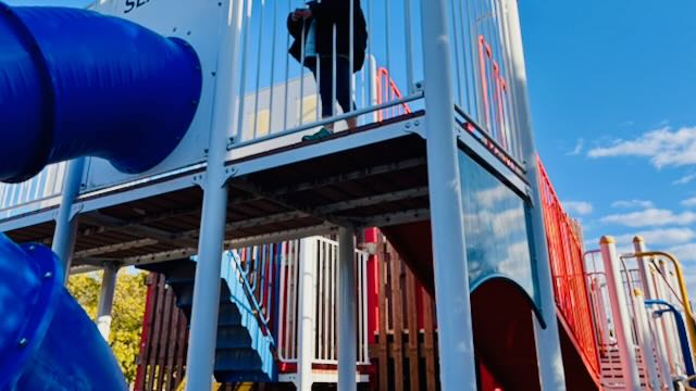 浦安運動公園にある子ども向けの大型アスレチック